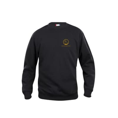 Collegegenser med logo (junior)