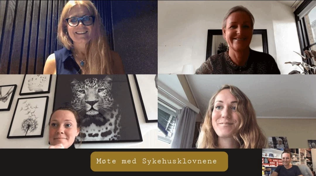 sykehusklovnene, løvemammaene, møte