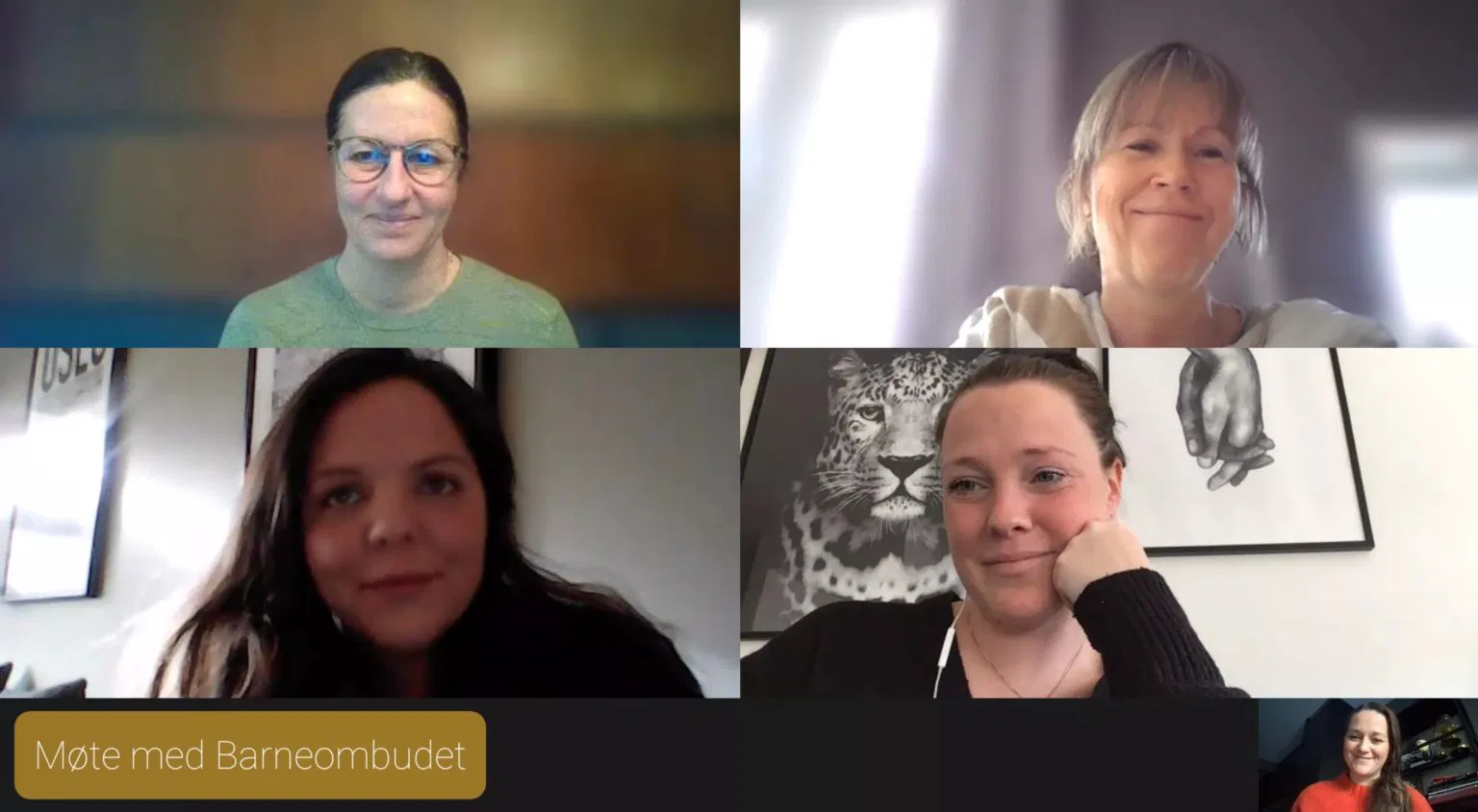 løvemammaene, barneombudet