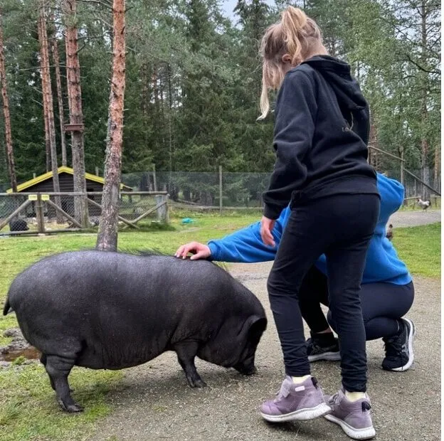 søsken som pårørende, barn med funksjonsvariasjon, fritid, aktivitet, Trøndelag